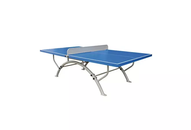 Table de ping pong extérieure CHAMPION