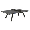 Table de ping-pong professionnelle